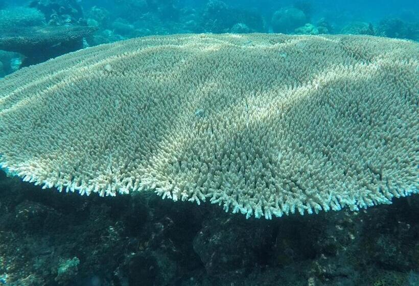 مبيت وإفطار Ten Rooms