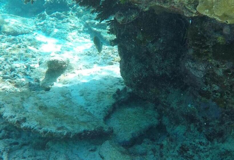 مبيت وإفطار Ten Rooms