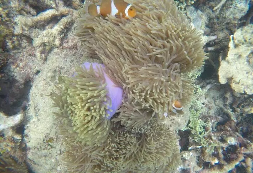 Aamiaismajoitus (B&B) Ten Rooms