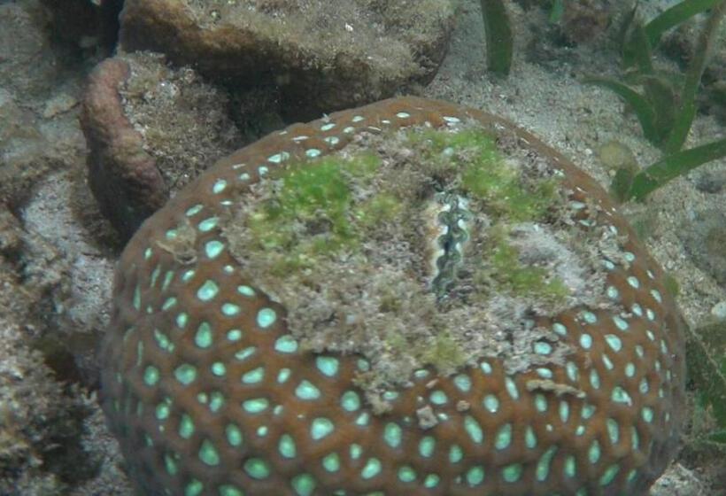 مبيت وإفطار Ten Rooms