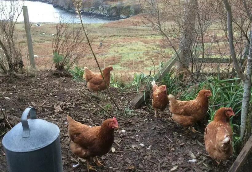 Aamiaismajoitus (B&B) Tor Druim