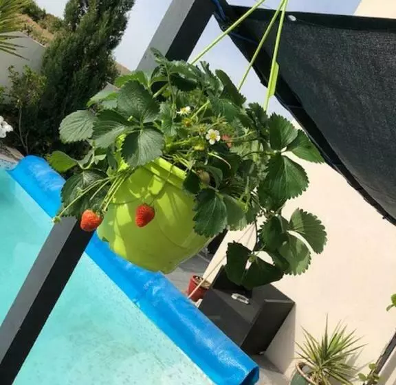 ベッドアンドブレックファースト Villa Des Romieux