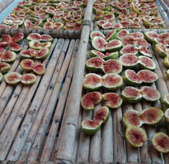 ペンション Villa Resilienza