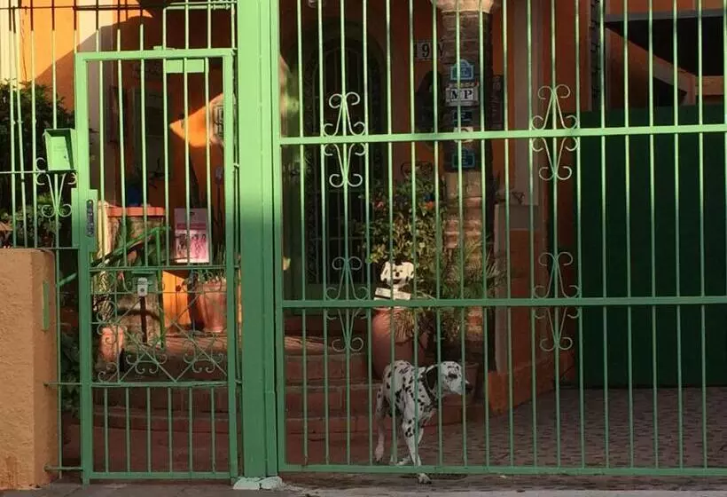 هاستل Casa Moinhos De Vento Vintage