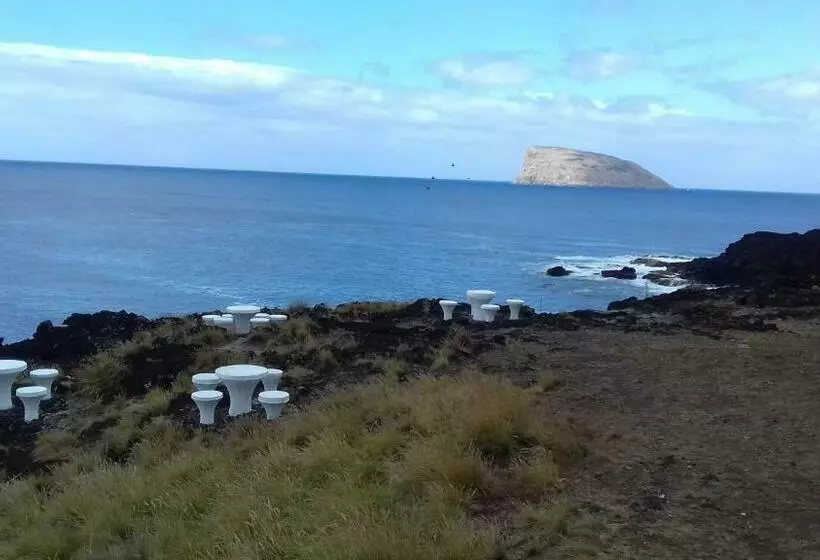 ユースホステル Rocky3