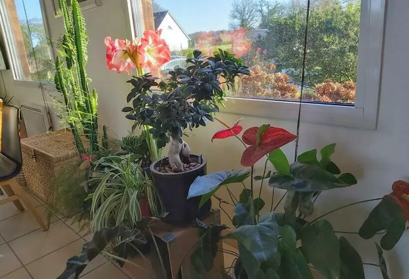 ベッドアンドブレックファースト L Oustaou Du Bodo