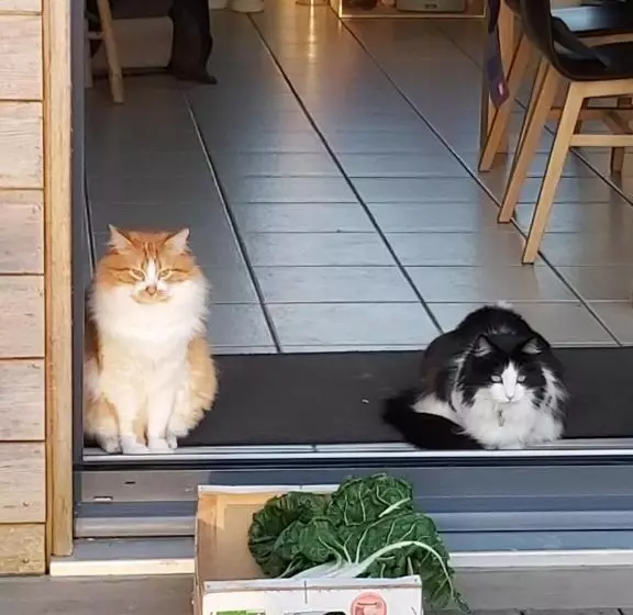 ベッドアンドブレックファースト L Oustaou Du Bodo