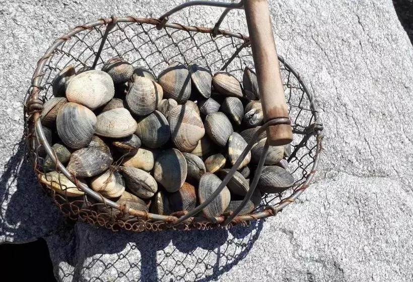 ベッドアンドブレックファースト L Oustaou Du Bodo