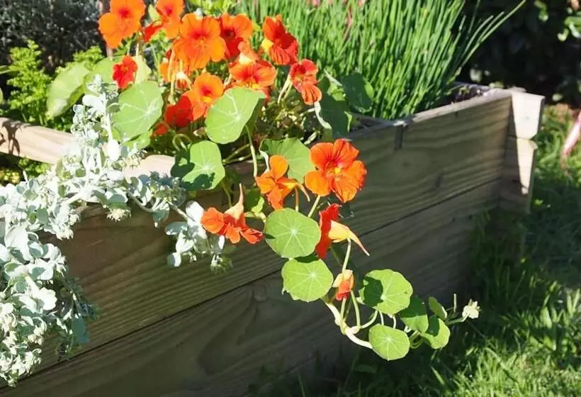 ベッドアンドブレックファースト L Oustaou Du Bodo