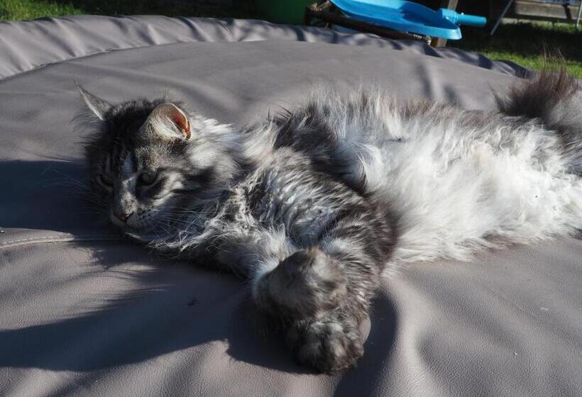 Bed and Breakfast L Oustaou Du Bodo