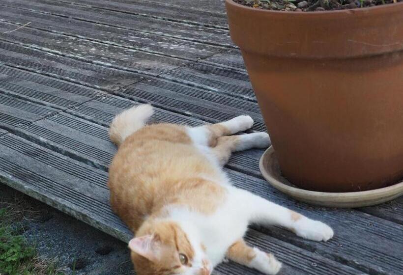 Bed and Breakfast L Oustaou Du Bodo