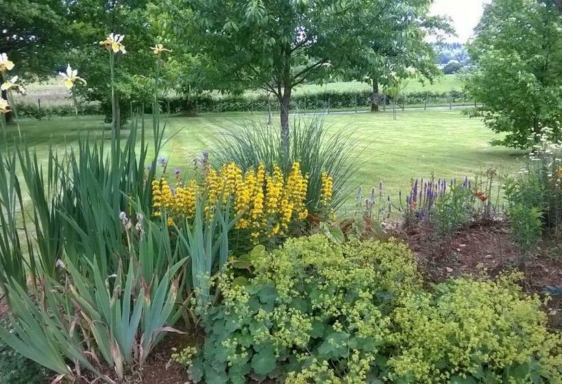 مبيت وإفطار Maison Maton