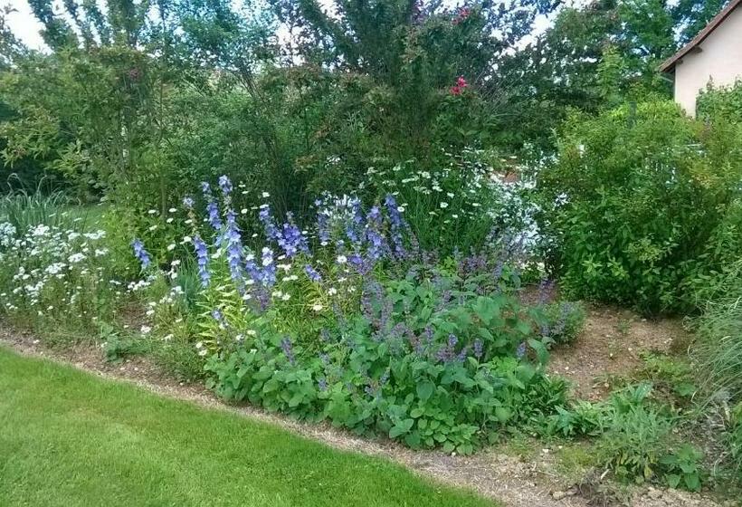 مبيت وإفطار Maison Maton