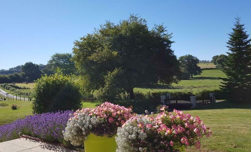 مبيت وإفطار Maison Maton