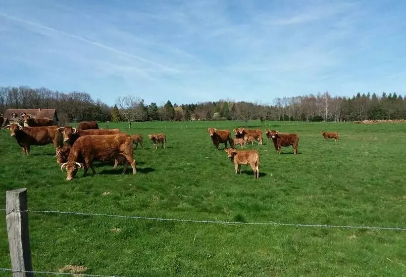 Aamiaismajoitus (B&B) Maison Maton