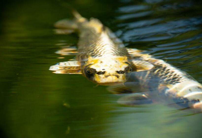 مبيت وإفطار Sérénité Aquatique