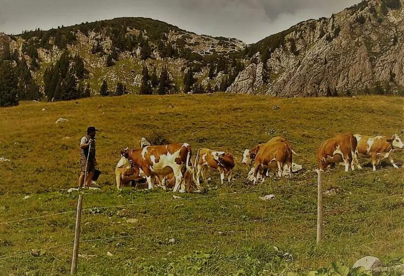 Landhotel Zum Staffelwirt