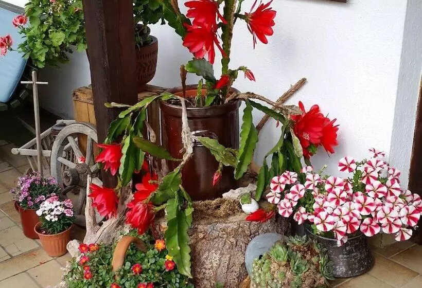 Pension Staufenhof