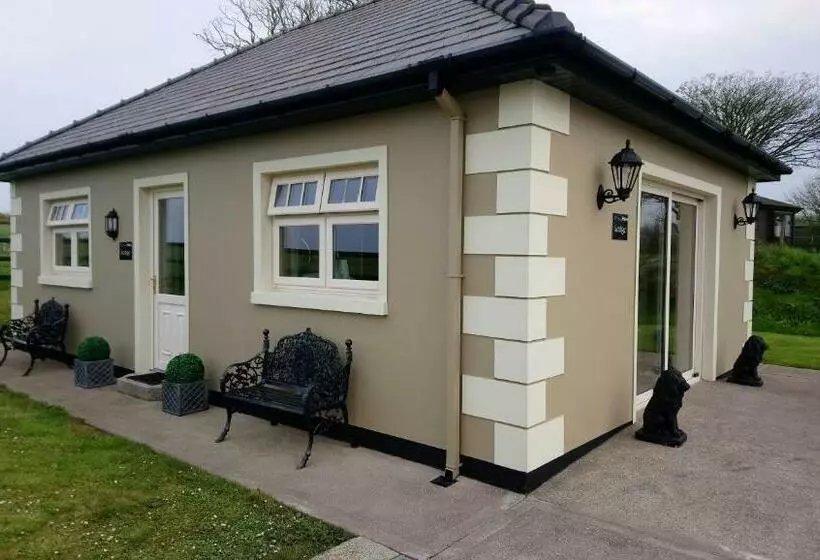 Aamiaismajoitus (B&B) The Brown Hen Guest Accommodation