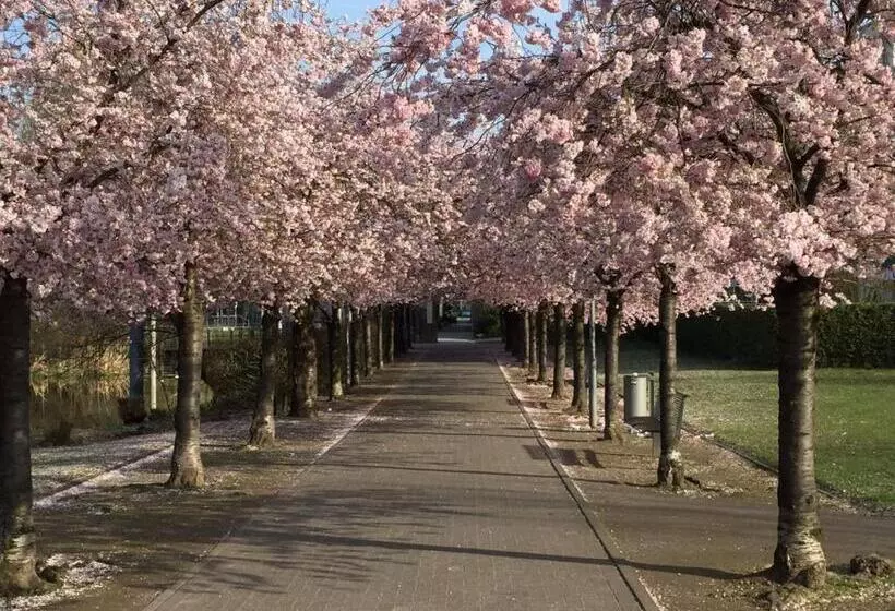 Retkeilymaja Dormitorium Kaarst Wohnraum Auf Zeit