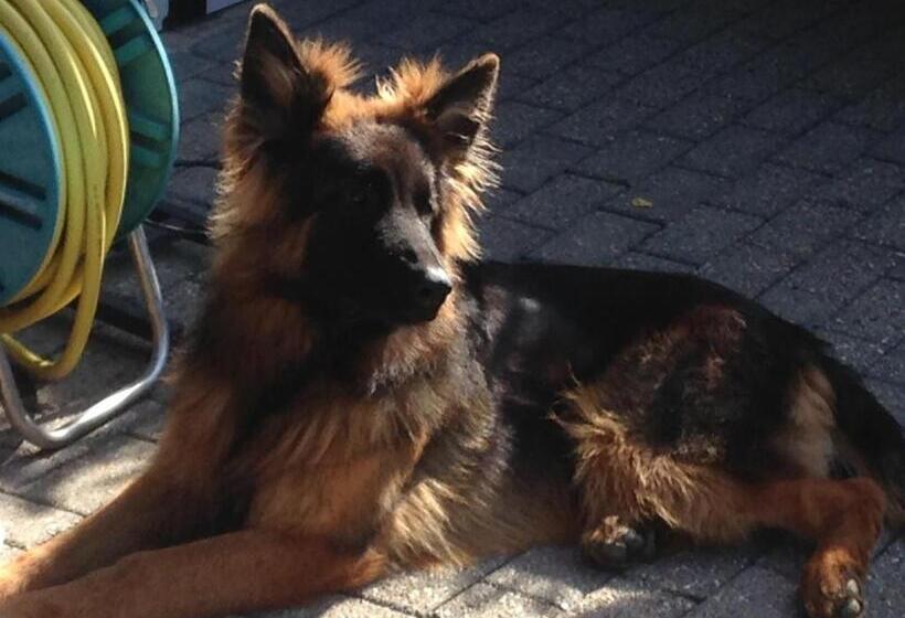 فندق صغير Dormitorium Kaarst Wohnraum Auf Zeit