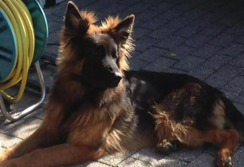 Retkeilymaja Dormitorium Kaarst Wohnraum Auf Zeit