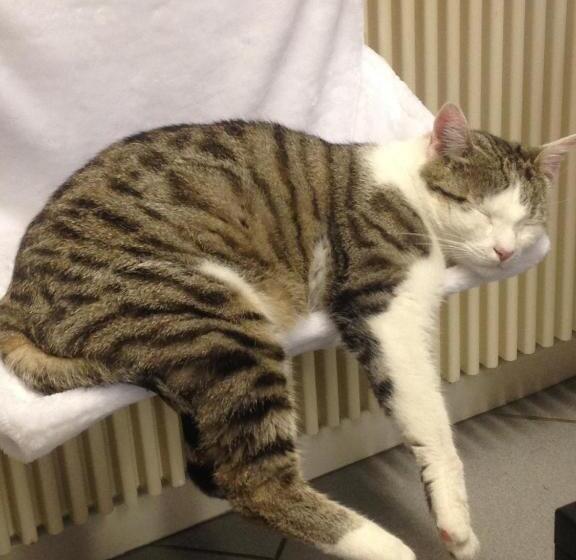 فندق صغير Dormitorium Kaarst Wohnraum Auf Zeit