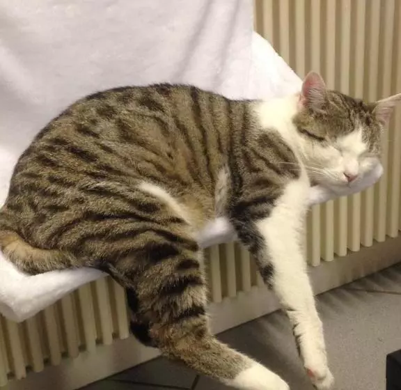 Retkeilymaja Dormitorium Kaarst Wohnraum Auf Zeit