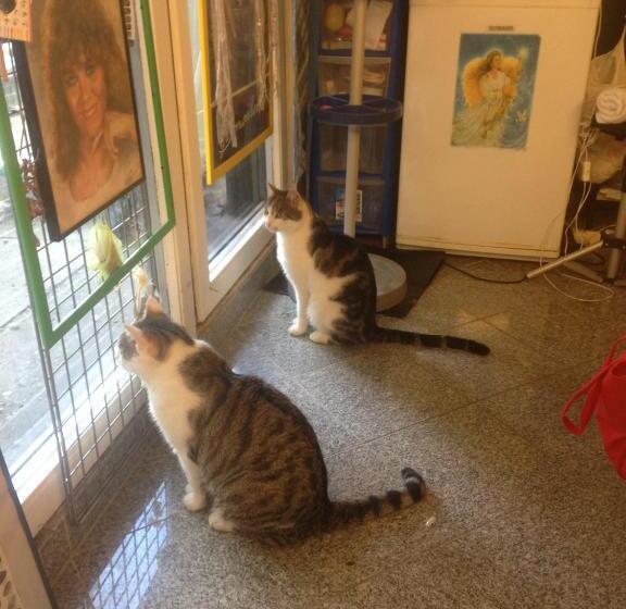 فندق صغير Dormitorium Kaarst Wohnraum Auf Zeit