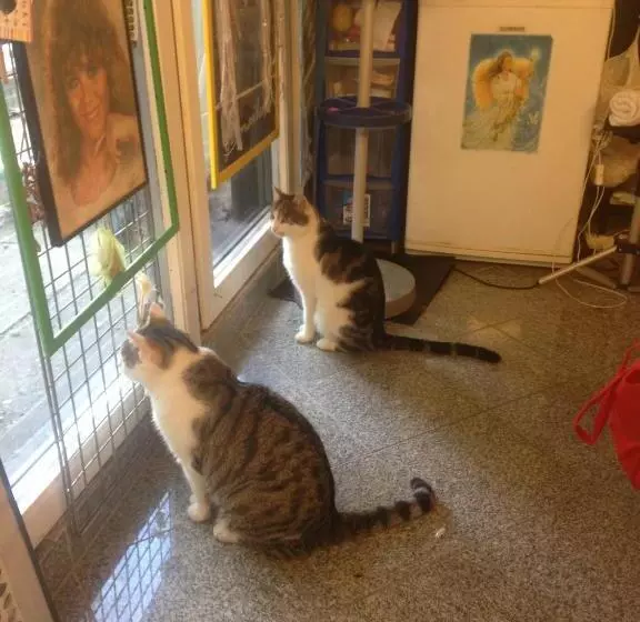 Retkeilymaja Dormitorium Kaarst Wohnraum Auf Zeit