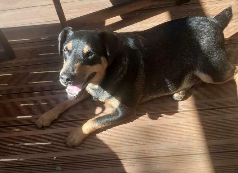 צימר Chambre D Hote Woody