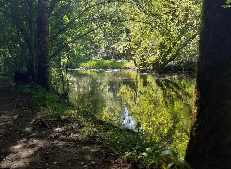 צימר Chambre D Hote Woody