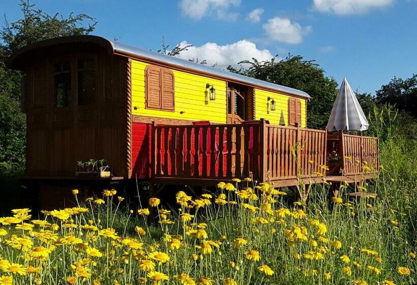 Bed and Breakfast La Roulotte De L Ami Nature