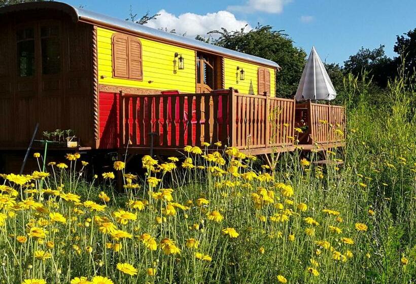 Bed and Breakfast La Roulotte De L Ami Nature