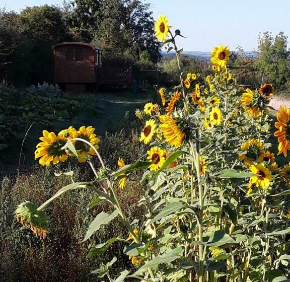 Bed and Breakfast La Roulotte De L Ami Nature