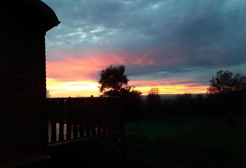 Bed and Breakfast La Roulotte De L Ami Nature