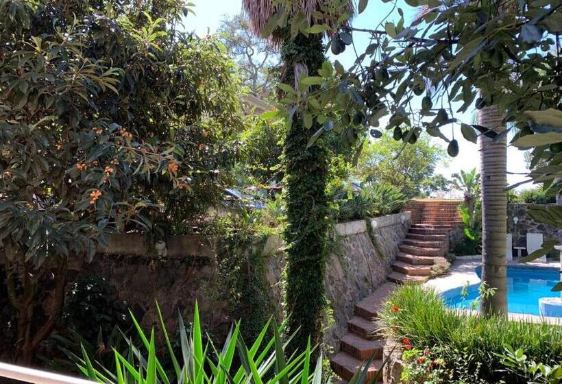 فندق El Mirador Y Jardin