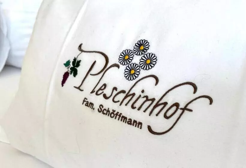 هتل Pleschinhof