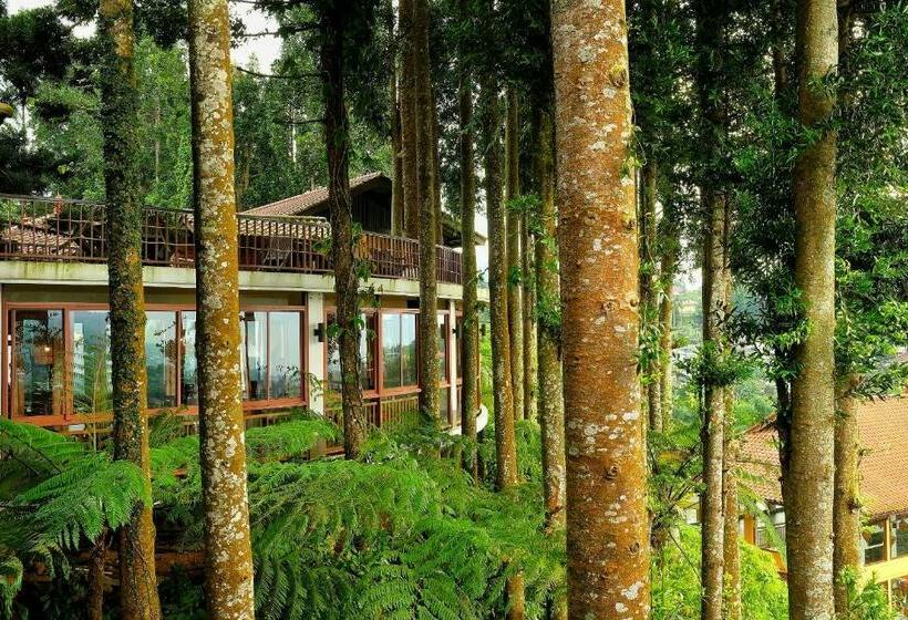 Szálloda The Grand Hill Resort