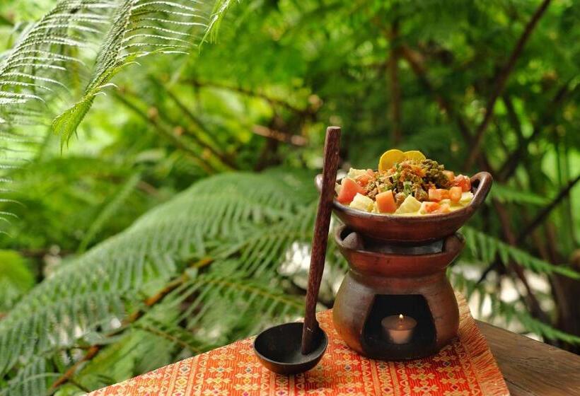 Szálloda The Grand Hill Resort