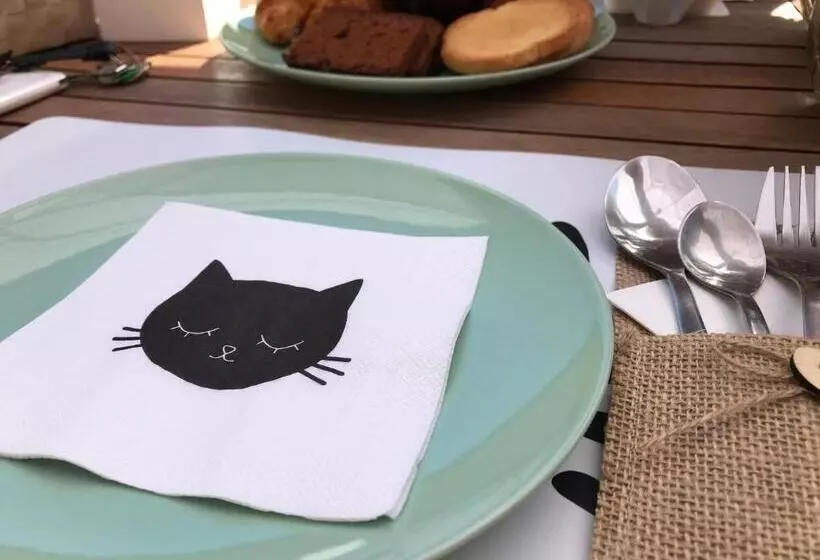 Il Gatto Stanco B&b