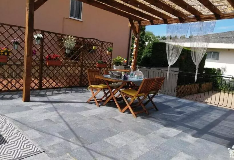 Il Gatto Stanco B&b