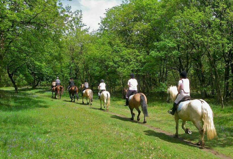 La Dimora Di Radha B&b Centro Olistico