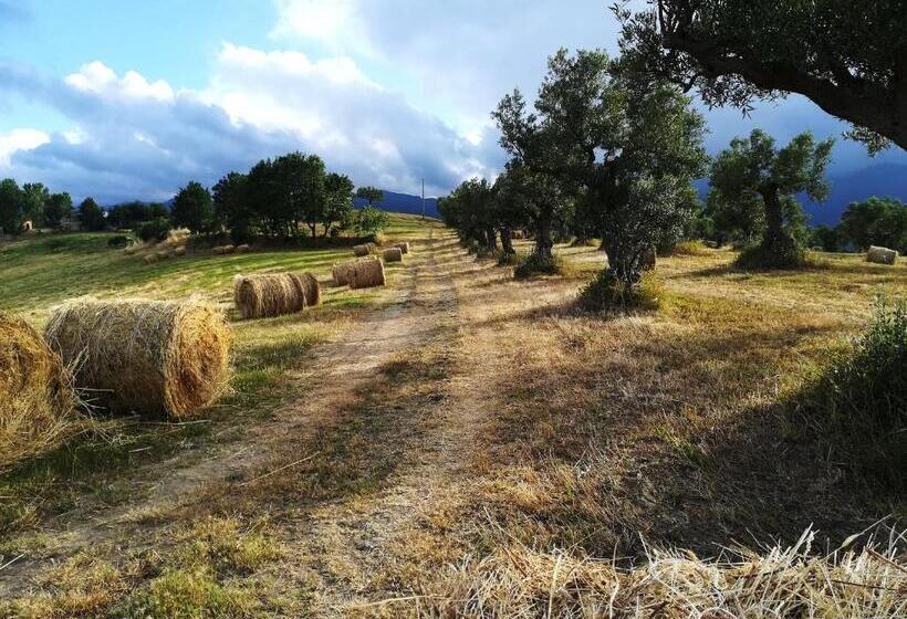 La Dimora Di Radha B&b Centro Olistico