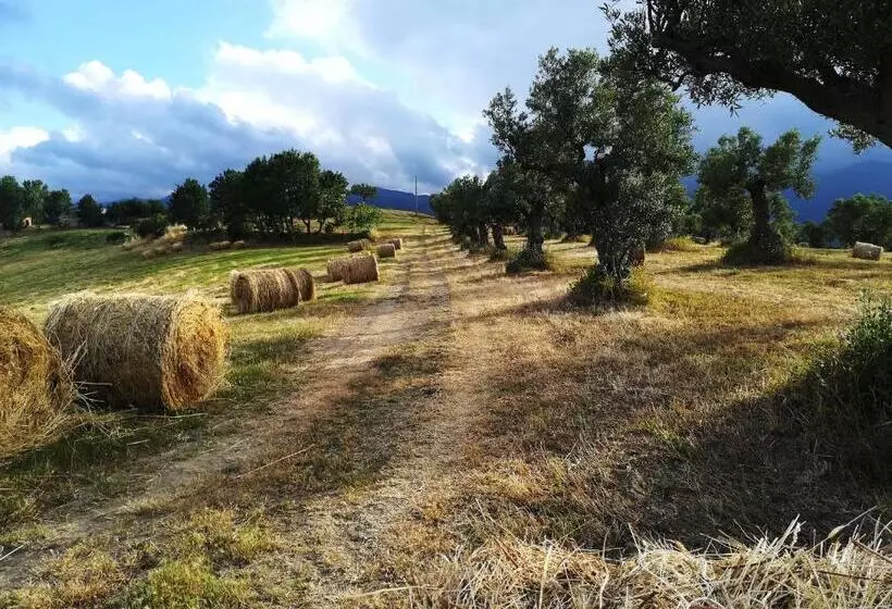 La Dimora Di Radha B&b Centro Olistico