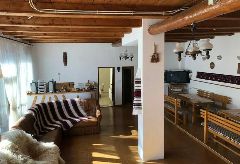 Pensiunea Casa Teo