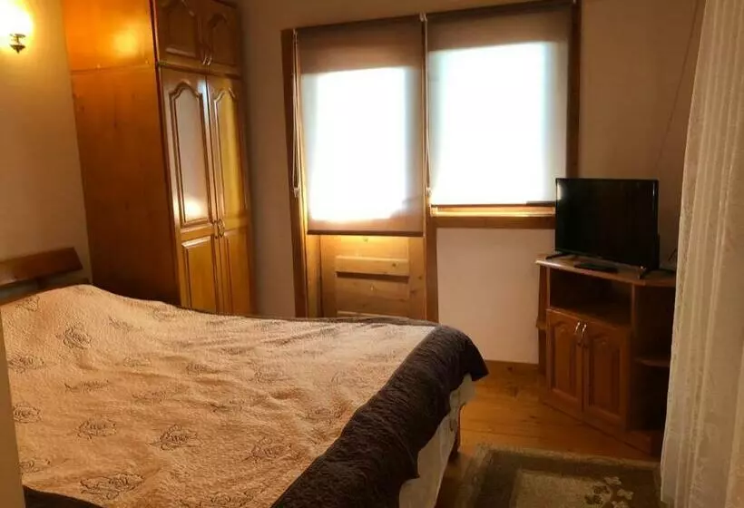 Pensiunea Casa Teo