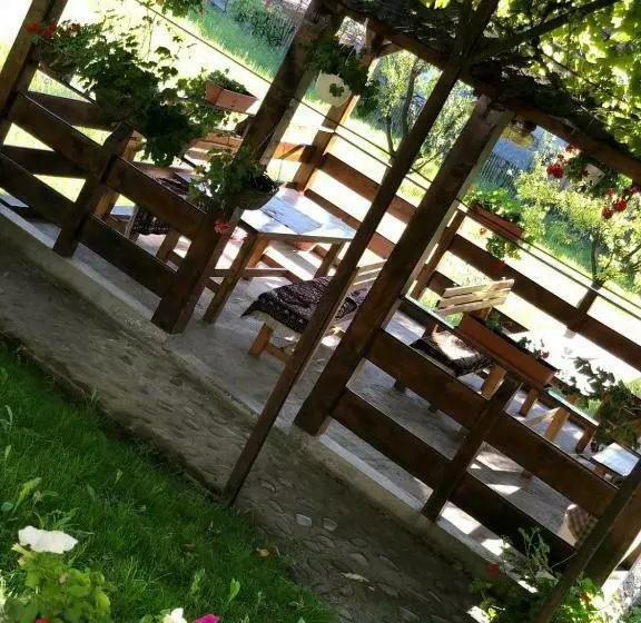 Pensiunea Casa Teo