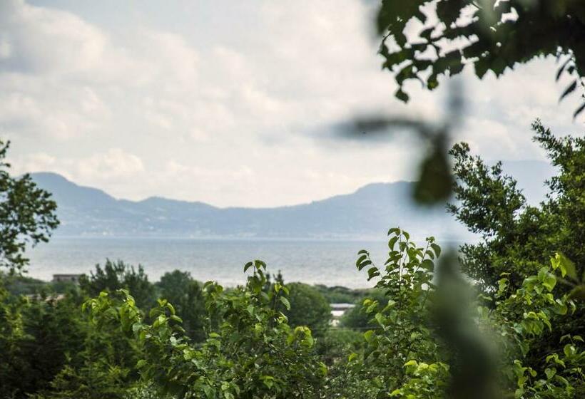 تختخواب و صبحانه Lemontree House Bacoli