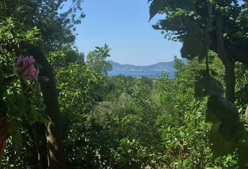 تختخواب و صبحانه Lemontree House Bacoli